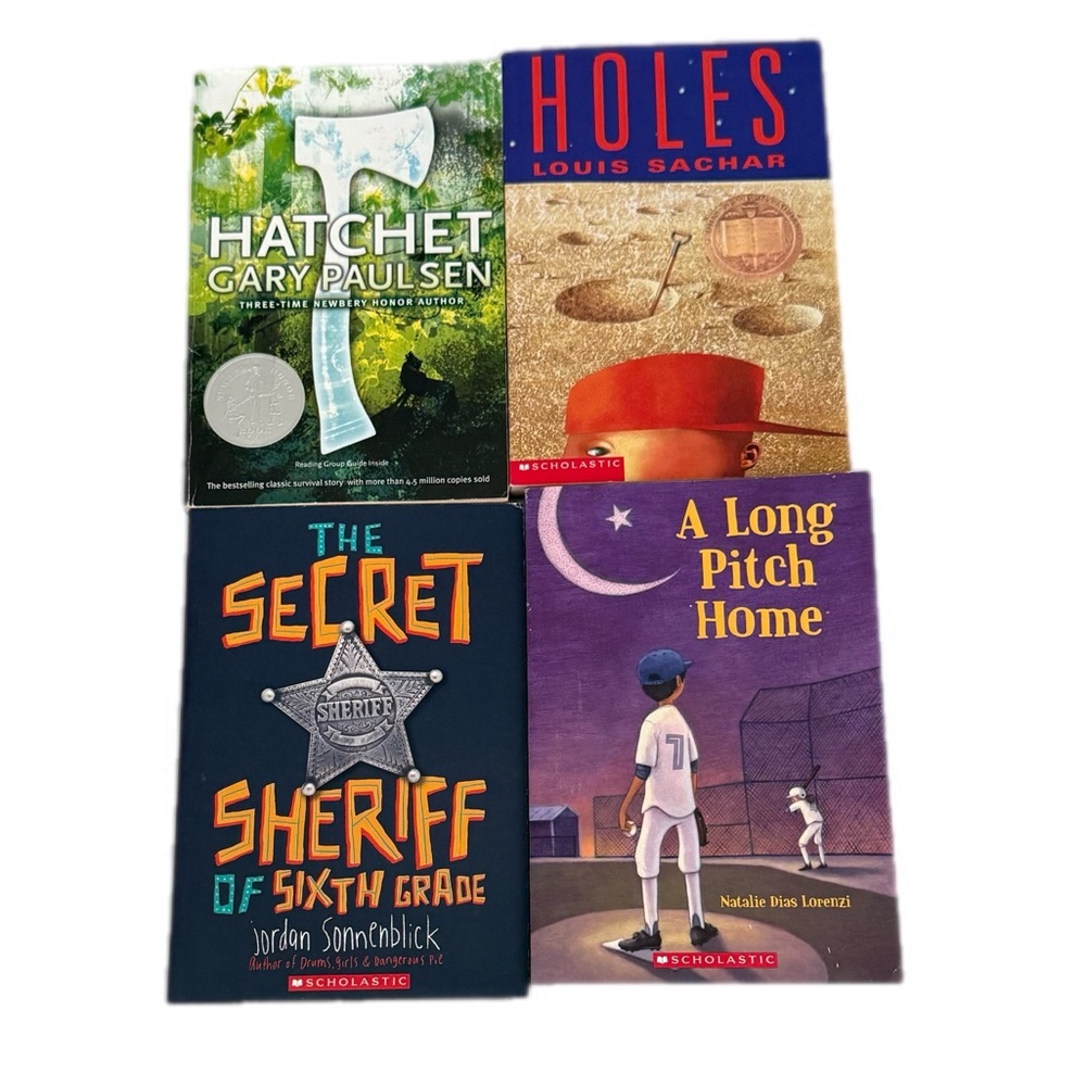 Scholastic Chapter Books Children Fiction Book Set Kids Childrens Books Bundle - Picture 4 of 6